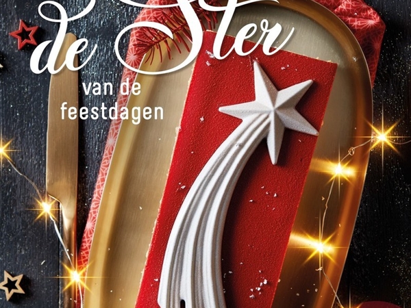 Kerstschnitt ster